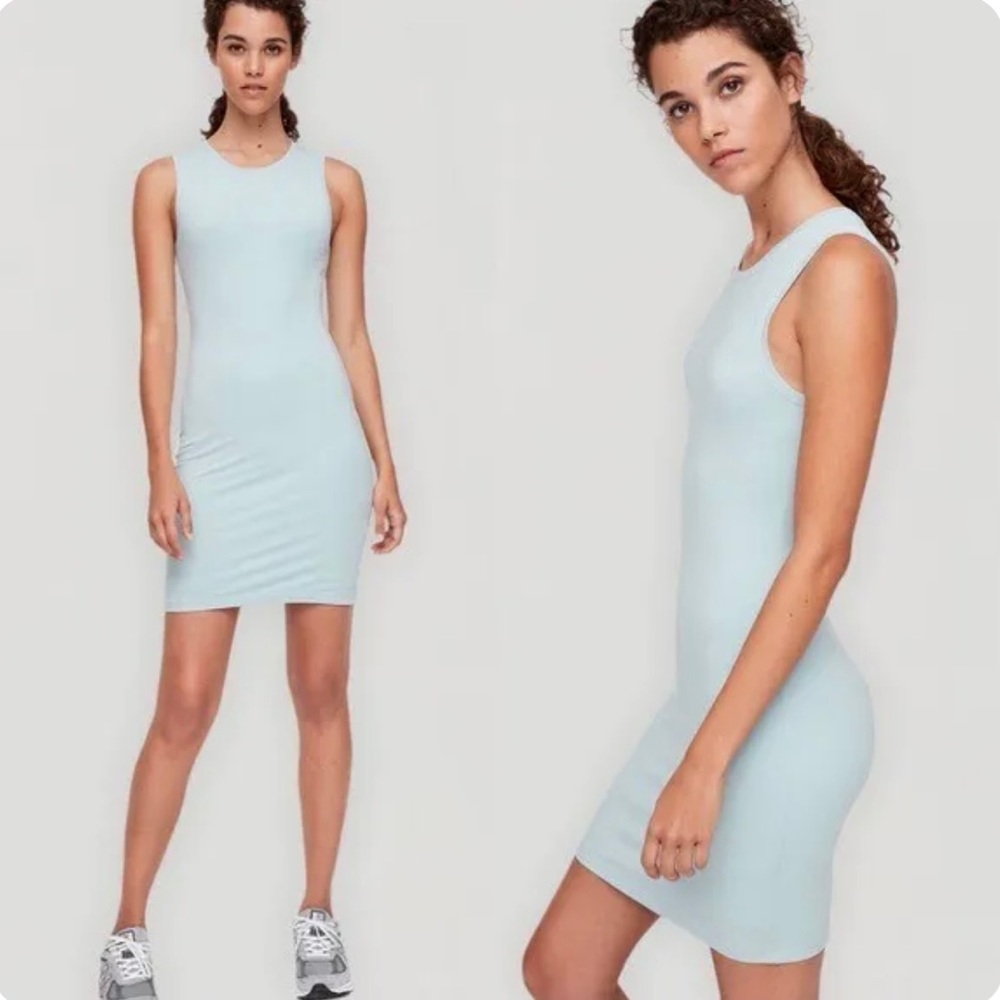 Aritzia Babaton Tiff Dress